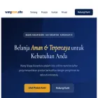 wangstore.site