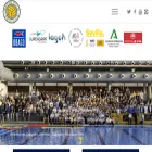 waterpolosevilla.com