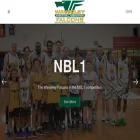 waverleybasketball.com