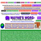 waynesword.net