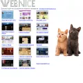 webnice.ru
