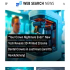 websearchnews.com