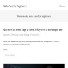 webseoforbeginners.com