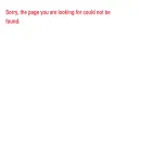 website.novelbinger.com