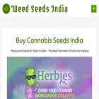 weedseedsindia.com
