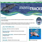 whalematch.org