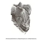 whereareyouquetzalcoatl.com