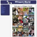 whippetworld.net