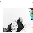 whipsolutions.com.mx