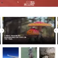 wideopenpets.com