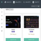 wikicsgo.ru