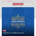 wildcard.international