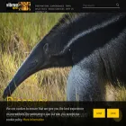 wilderness-explorers.com