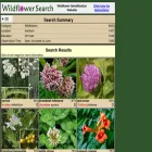 wildflowersearch.com