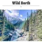 wildnorthtravel.com