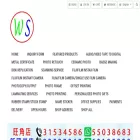 wingsingproduction.com