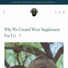 wisermindscompany.com