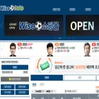 wisetoto.com