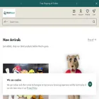 wishmascot.com