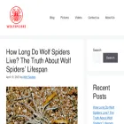 wolfspiders.org