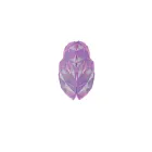 womensbrainproject.com