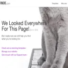 womenscentreja.wixsite.com