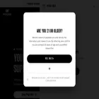 wooshlabs.com