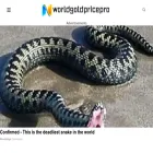 worldgoldpricepro.com