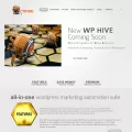 wp-hive.com