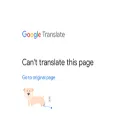 www-spiegel-de.translate.goog