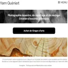 yannqueniart.com