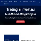 yefadvisor.com