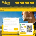 yelumseguros.com.br