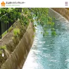 yhc.co.jp