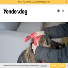 yonder.dog