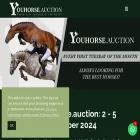 youhorse.auction