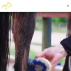 yourhorsemanship.com