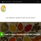 ytcglobal.in