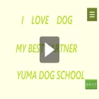 yuma-dogschool.jp