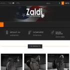 zaldi.us