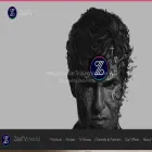 zaptvmedia.com