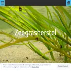zeegrasherstelwaddenzee.com