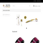 zgtsroller.com