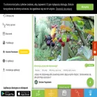 zielonepogotowie.app