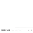 zioziegler.com