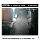 zonaintegritas.news