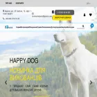 zoomarket.pet