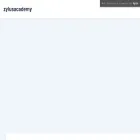 zylusacademy.com