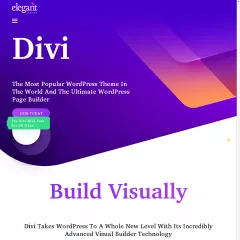 divi.webp