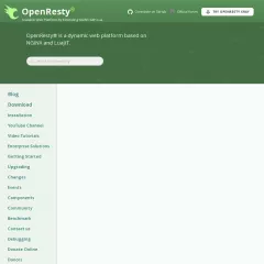 openresty.webp